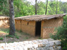 ethno